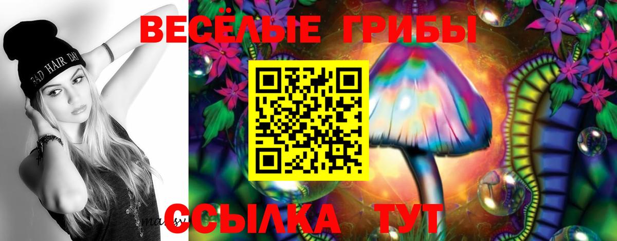 наркота  Галлюциногенные грибы мицелий  Псилоцибиновые грибы мухоморы  Вход с VPN  Зима 